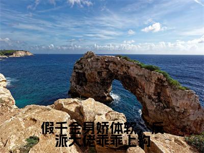 假千金身娇体软，反派大佬乖乖上钩免费阅读无弹窗大结局-苏云笙陆清宴（假千金身娇体软，反派大佬乖乖上钩最新全章节大结局）全文阅读