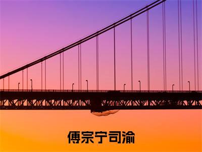 司渝傅宗宁(傅宗宁司渝)全文免费阅读无弹窗大结局_司渝傅宗宁免费试读阅读全文无弹窗