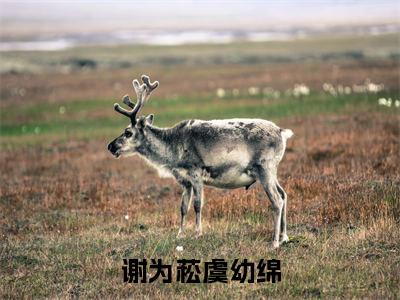 虞幼绵谢为菘(谢为菘虞幼绵)免费阅读无弹窗大结局-谢为菘虞幼绵(最新全章节大结局)全文阅读