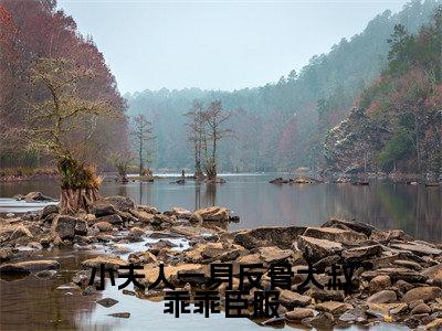 小夫人一身反骨大叔乖乖臣服全文免费阅读_(叶星语封薄言免费阅读无弹窗)叶星语封薄言最新章节列表笔趣阁