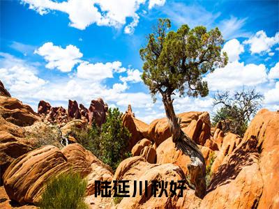 陆延川秋好(陆延川秋好)免费阅读完整版-(陆延川秋好小说)陆延川秋好全文大结局已完结