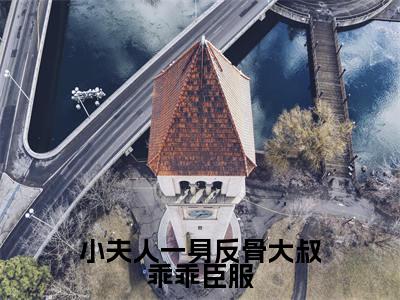 小说(小夫人一身反骨大叔乖乖臣服)在线赏析_叶星语封薄言txt小说在线阅读笔趣阁
