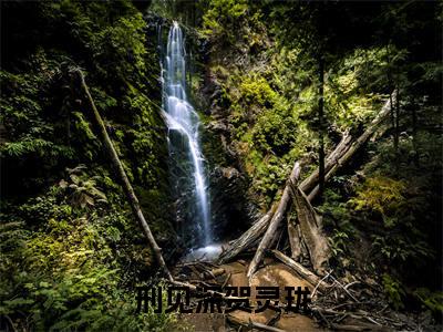 刑见深贺灵珑全文小说(贺灵珑刑见深)-完结版热文贺灵珑刑见深(刑见深贺灵珑)小说免费阅读