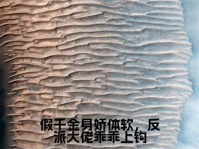 苏云笙陆清宴(完整版)热文小说阅读-苏云笙陆清宴全文抖音热推
