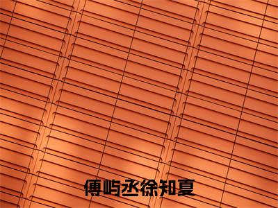热文徐知夏傅屿丞在线免费读-傅屿丞徐知夏的小说(徐知夏傅屿丞)完整版免费读全文