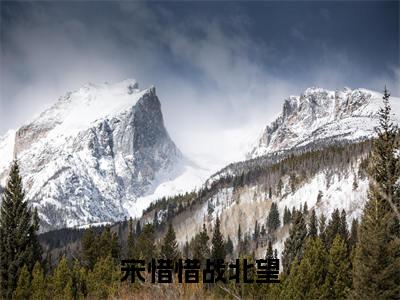 宋惜惜战北望全文免费在线阅读大结局_（战北望宋惜惜免费阅读无弹窗）宋惜惜战北望全文免费完结版阅读（战北望宋惜惜）
