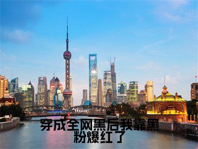 林霜(穿成全网黑后我靠黑粉爆红了)小说全文无删减版完整版_林霜最新章节列表_笔趣阁