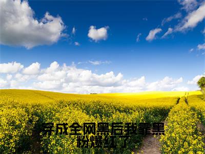 高赞小说穿成全网黑后我靠黑粉爆红了(林霜)完结阅读_林霜穿成全网黑后我靠黑粉爆红了免费看全文