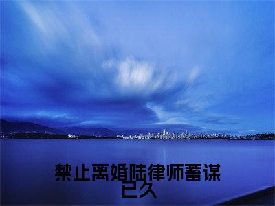 华浓陆敬安(禁止离婚陆律师蓄谋已久)全文免费阅读无弹窗-禁止离婚陆律师蓄谋已久主角叫华浓陆敬安的小说全章节免费阅读