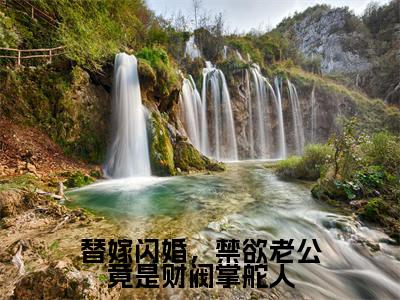 替嫁闪婚,禁欲老公竟是财阀掌舵人全文免费阅读无弹窗大结局_(商晚星陆怀予无弹窗)替嫁闪婚,禁欲老公竟是财阀掌舵人全文阅读最新章节列表笔趣阁