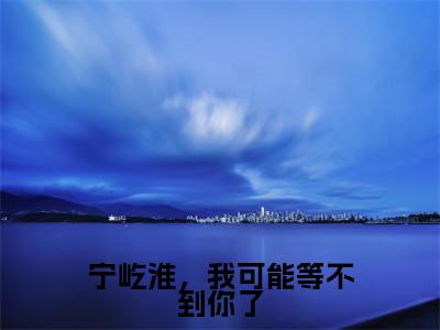 (番外)+(全文)宁屹淮,我可能等不到你了小说免费下载阅读_(宁屹淮,我可能等不到你了)江眠笙宁屹淮最新章节列表_笔趣阁(江眠笙宁屹淮)
