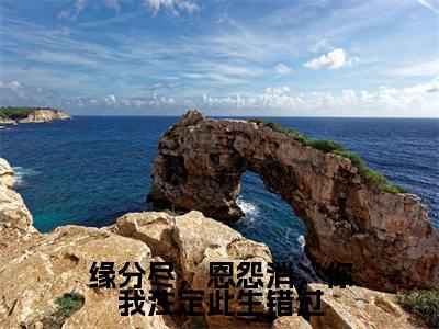 缘分尽,恩怨消,你我注定此生错过小说精彩章节今日阅读更新-(孟希栀谢珩屿小说)免费阅读小说全文