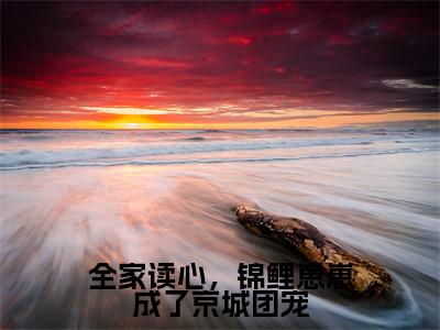 全家读心,锦鲤崽崽成了京城团宠小说(鱼卷卷)全文免费阅读无弹窗_全家读心,锦鲤崽崽成了京城团宠小说最新章节免费阅读_笔趣阁(鱼卷卷)