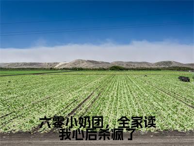 六零小奶团,全家读我心后杀疯了小说(赵媛媛)全文免费阅读无弹窗_六零小奶团,全家读我心后杀疯了最新小说_笔趣阁(赵媛媛)