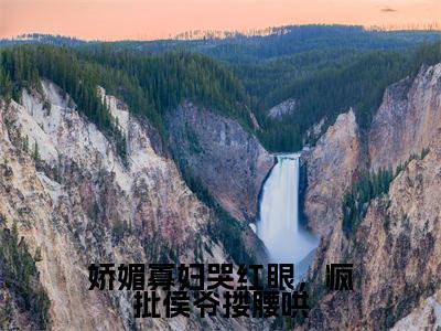 娇媚寡妇哭红眼,疯批侯爷搂腰哄在线阅读(孟婉裴卿礼)全文免费阅读无弹窗大结局_孟婉裴卿礼最新章节列表笔趣阁(娇媚寡妇哭红眼,疯批侯爷搂腰哄)