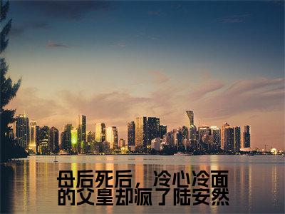 母后死后,冷心冷面的父皇却疯了陆安然陆安然慕辞无广告阅读新上热文陆安然慕辞在线免费读