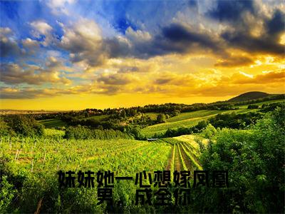 妹妹她一心想嫁凤凰男,成全你小说(姜羡梨谢景城)全文免费阅读无弹窗大结局_妹妹她一心想嫁凤凰男,成全你小说免费阅读最新章节列表笔趣阁(姜羡梨谢景城)