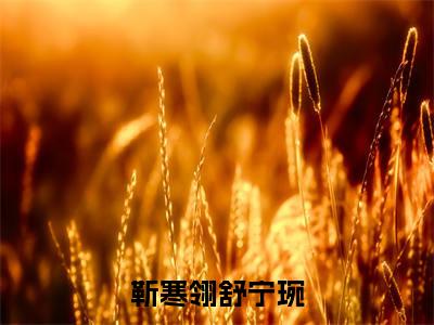 靳寒翎舒宁琬(舒宁琬靳寒翎)全文免费阅读无弹窗大结局_靳寒翎舒宁琬_笔趣阁