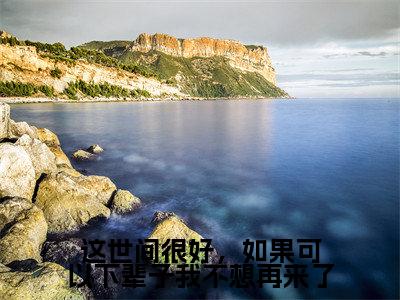 纪暖谢言昭(这世间很好,如果可以下辈子我不想再来了)全文免费阅读无弹窗大结局_这世间很好,如果可以下辈子我不想再来了(纪暖谢言昭无弹窗)_笔趣阁