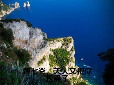 全章节完整《薄七爷,夫人又把你拉黑了》全文阅读《陌颜薄西宴》