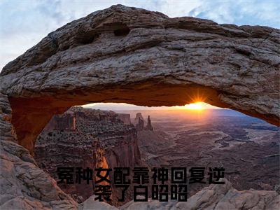 白昭昭(冤种女配靠神回复逆袭了白昭昭)全文免费阅读_(冤种女配靠神回复逆袭了白昭昭)白昭昭最新章节列表_笔趣阁