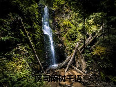 蒋司南时千语（时千语蒋司南）全文在线阅读无弹窗大结局_时千语蒋司南免费阅读全文大结局