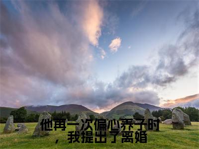 他再一次偏心养子时,我提出了离婚(宿心莹程遇寒)全文阅读无弹窗大结局_他再一次偏心养子时,我提出了离婚免费阅读无弹窗最新章节列表