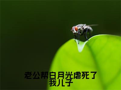老公帮白月光虐死了我儿子(陈星谢宴之)全文免费阅读-老公帮白月光虐死了我儿子(陈星谢宴之)全章节完整版在线阅读