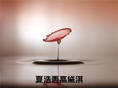 夏浩善高黛淇（高黛淇夏浩善）全文免费阅读无弹窗大结局_夏浩善高黛淇全文免费阅读最新章节列表