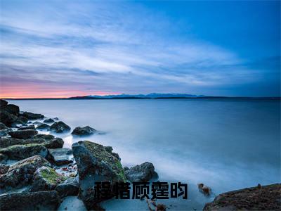 程惜顾霆昀(程惜顾霆昀)全文免费阅读无弹窗大结局_(程惜顾霆昀)免费阅读无弹窗最新章节列表