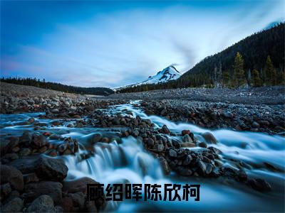 顾绍晖陈欣柯(陈欣柯顾绍晖)小说全文免费阅读无弹窗-顾绍晖陈欣柯全章节在线阅读