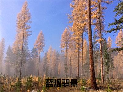 蓝烟裴景(蓝烟裴景)免费阅读无弹窗大结局_(蓝烟裴景)蓝烟裴景最新章节列表_笔趣阁