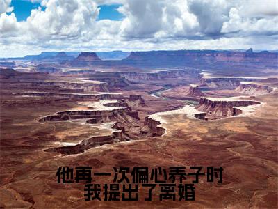 宿心莹程遇寒(他再一次偏心养子时我提出了离婚)的小说完整版免费阅读主角是(宿心莹程遇寒)他再一次偏心养子时我提出了离婚无弹窗免费阅读
