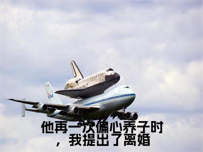 他再一次偏心养子时,我提出了离婚全文免费阅读无弹窗大结局,宿心莹程遇寒小说精彩免费试读