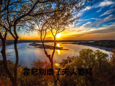 霍总别虐了夫人要嫁人在线阅读(时溪霍祁言)全文免费阅读无弹窗大结局_时溪霍祁言免费最新章节列表