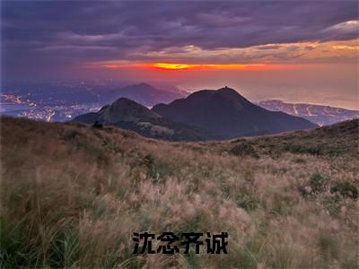 沈念齐诚(齐诚沈念)全文免费阅读-小说沈念齐诚大结