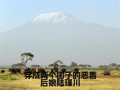 后续+免费穿成两个团子的恶毒后娘陆瑾川(简一陆瑾川)全文小说在线阅读-穿成两个团子的恶毒后娘陆瑾川全章节最新阅读