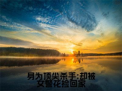身为顶尖杀手:却被女警花捡回家(顾非晚鹤川小说)在线阅读全文-顾非晚鹤川小说免费阅读完结版全文