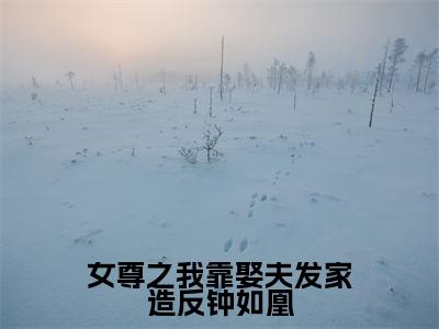 女尊之我靠娶夫发家造反钟如凰抖音新上免费热文钟如凰完结免费阅读无弹窗