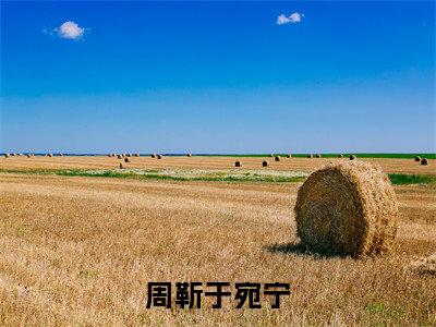 周靳于宛宁(周靳于宛宁)免费阅读_周靳于宛宁小说免费阅读-笔趣阁