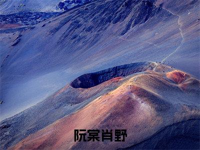 抖音高赞小说阮棠肖野在线阅读阮棠肖野新上现代言情小说推荐