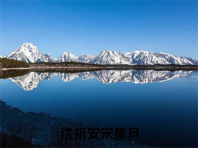 沈祈安宋星月在线阅读(宋星月沈祈安)全文免费阅读大结局_沈祈安宋星月免费最新章节列表_笔趣阁