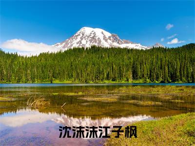 沈沫沫江子枫(沈沫沫江子枫)全文免费阅读无弹窗大结局_沈沫沫江子枫无弹窗最新章节列表_笔趣阁
