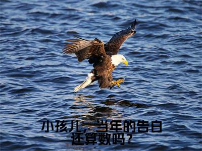小孩儿,当年的告白还算数吗?高甜小说最新章节-季北望盛清梨全文阅读