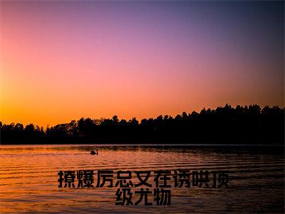 厉瑾琛姜柠(撩爆厉总又在诱哄顶级尤物)全文在线阅读无弹窗大结局_撩爆厉总又在诱哄顶级尤物全文无弹窗最新章节列表