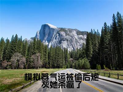 凌云(模拟器气运被偷后炮灰她杀疯了全文免费阅读)_凌云小说最新章节免费阅读