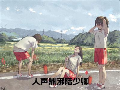 人声鼎沸陆少卿全本小说无弹窗阅读-人声鼎沸陆少卿（沈眠陆少卿）精彩热门小说