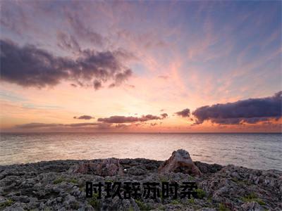（苏时柔时玖辞小说完整版）时玖辞苏时柔全文免费阅读-（时玖辞苏时柔）苏时柔时玖辞小说最新章节列表