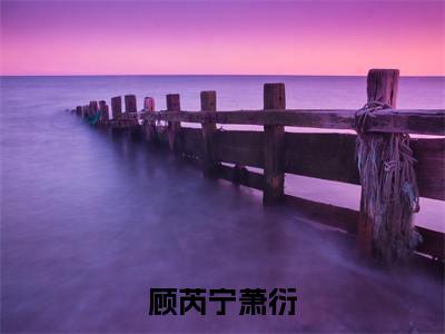 (番外)+(全文)顾芮宁萧衍小说免费下载阅读_(顾芮宁萧衍)萧衍顾芮宁最新章节列表_笔趣阁(萧衍顾芮宁)