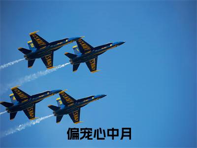 偏宠心中月全文免费在线阅读_(叶榆唐嘉辰全文免费阅读无弹窗大结局)偏宠心中月最新章节列表_笔趣阁